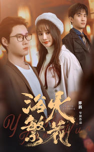 欲火繁花第02集