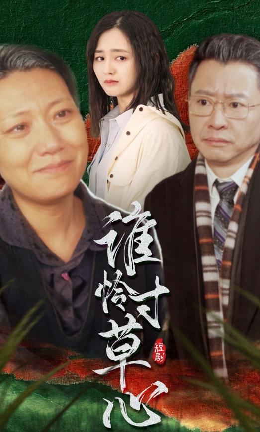 谁怜寸草心第01集