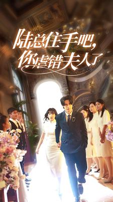 陆总住手吧，你虐错夫人了第02集