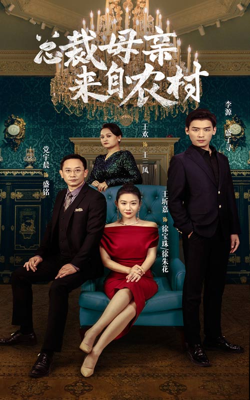 总裁母亲来自农村第01集