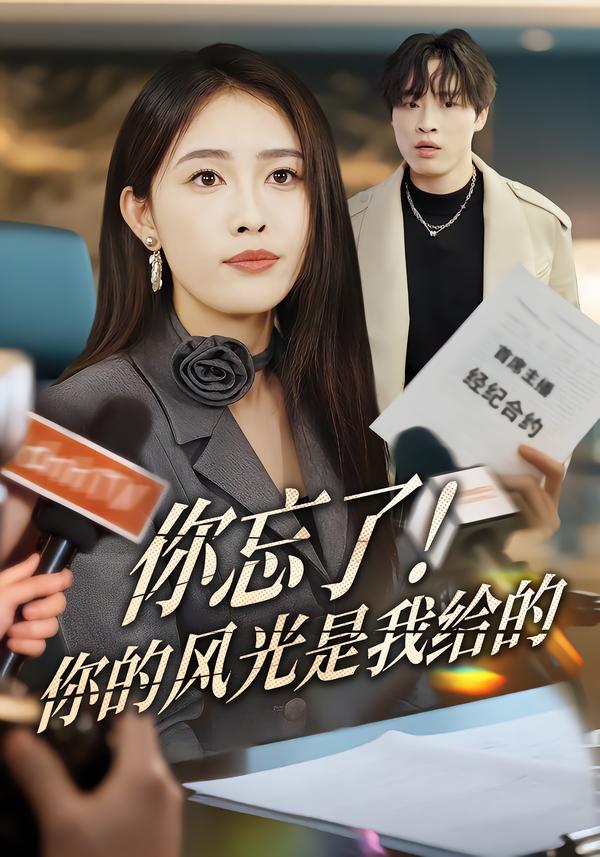 你忘了！你的风光是我给的(全集)